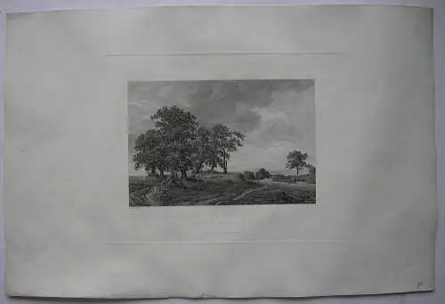 Aussicht nach dem Chiemsee Orig. Stahlstich Veith nach Crola 1833 Bayern 