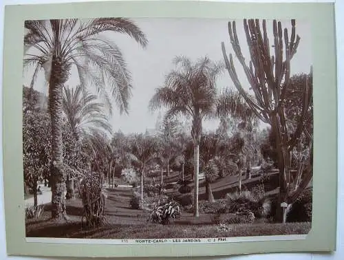 Monaco France Les Jardins et Vue General Foto Albumin 2 Orig. Photographien 1880