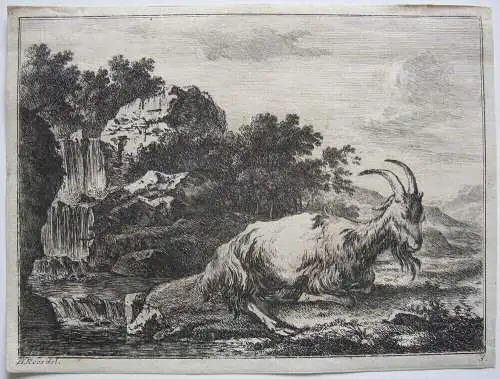 Joh. Heinr. Roos (1631-1685) Liegende Ziege vor Wasserfall Orig Kupferstich 1670