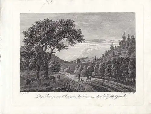 Tharandt Ruinen Weiseritz Grund Freital Dresden Orig Radierung Darnstedt 1799 