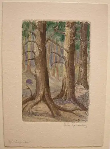 Paula Henneberg (1876- ?) Thüringer Wald Orig Farbradierung 1900