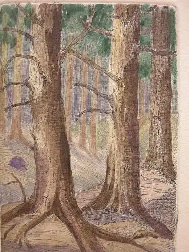 Paula Henneberg (1876- ?) Thüringer Wald Orig Farbradierung 1900