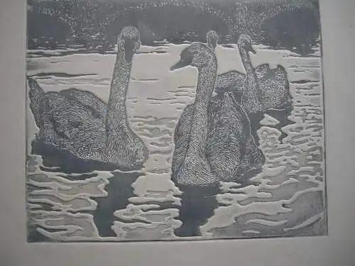 Arthur Illies (1870-1952) Schwäne auf Alster Orig Radierung Nachlass