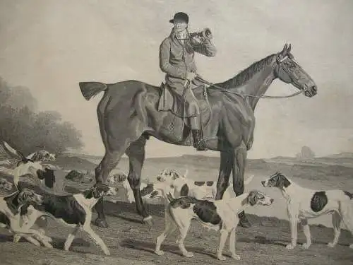 Thomas Oldaker Fox hunting Fuchsjagd Pferde Orig Aquatinta 1810 Horse Race