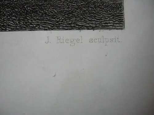 Jerusalem Gesamtansicht Orig Kupferstich Löffler 1850 Israel Heiliges Land 