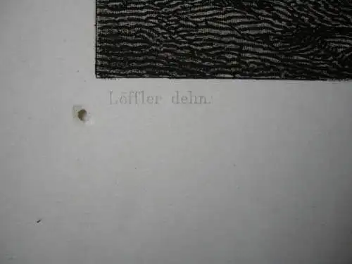 Jerusalem Gesamtansicht Orig Kupferstich Löffler 1850 Israel Heiliges Land 