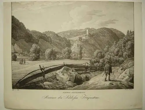 Ruine Freienstein Niederösterreich Orig Lithographie Alt Kunike 1824 Donau 