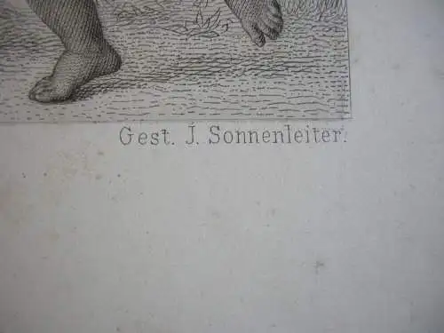 J Sonnenleiter (1825-1907) Ländliche Musik Allegorie Sommer Orig Stahlstich 1860