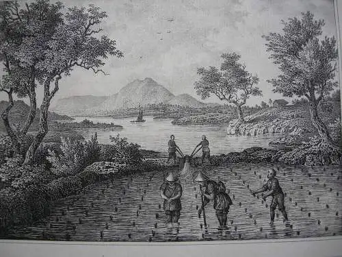 Reis Pflanzung Sieben und Mahlen 2 Orig. Lithografien 1842 Getreide Asien