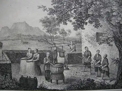 Reis Pflanzung Sieben und Mahlen 2 Orig. Lithografien 1842 Getreide Asien