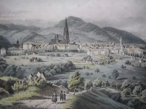 Freiburg Gesamtansicht aus der Ferne Orig. Lithografie Friedrich Pecht 1850