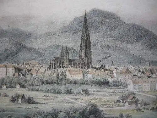 Freiburg Gesamtansicht aus der Ferne Orig. Lithografie Friedrich Pecht 1850