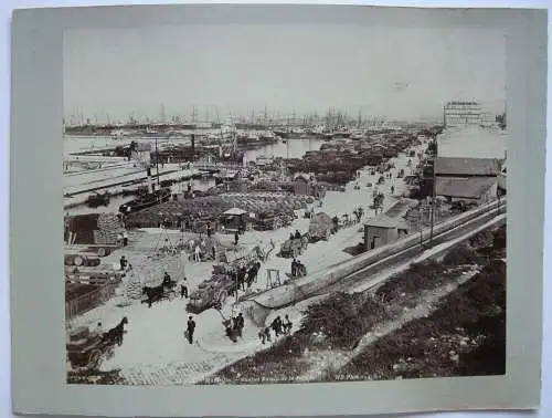 Marseille Quai et Bassin de la Joliette France Foto Albumin 1880 Menton Palmiers