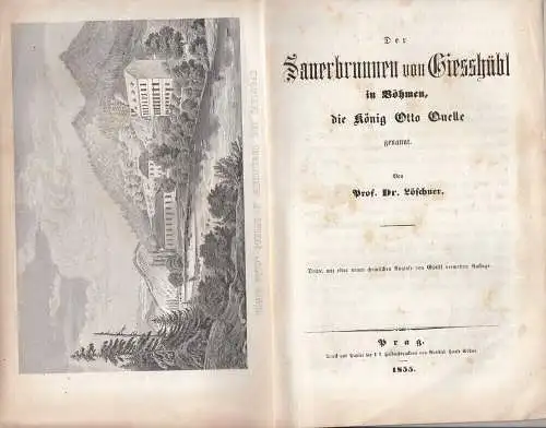 Sauerbrunnen von Giesshübl König Otto Quelle 1855 lithografierte Ansicht