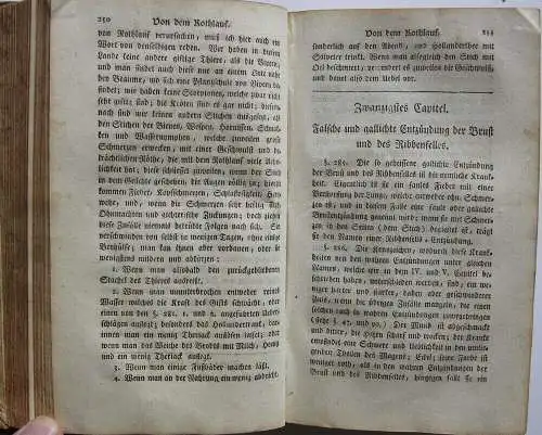 Hirzel Anleitung Gesundheit für das Landvolk Zürich 1778 Pappband 