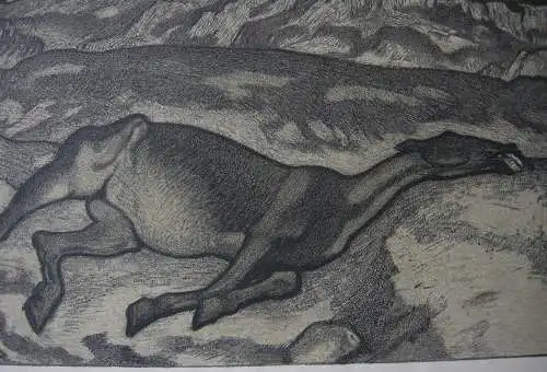 Ferdinand Andri (1871-1956) Aus Albanien Orig Lithografie 1930
