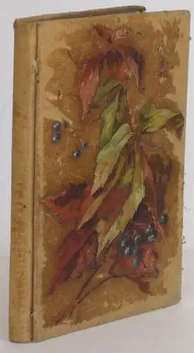 Freundschaftsalbum 1889-1911 Minden bemalter Lederband 