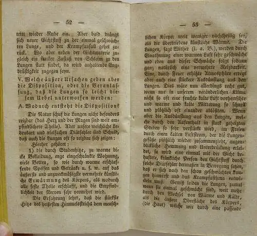 K. F. Lutheritz Arzt für Engbrüstige Kurzatmigkeit Ilmenau 1826 Pappband d. Zeit