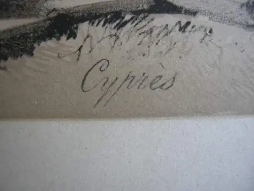 Alexandre Calame (1810-1864) Zypressen Mönch getönte Orig. Lithografie 1850