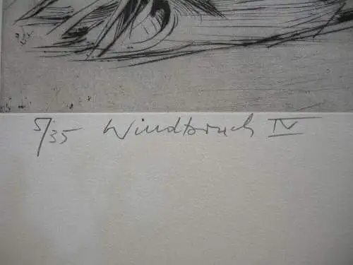 Wolfgang Werkmeister (1941) Orig. Radierung 1973 Windbruch IV signiert