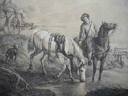 Karl Wilh von Heideck (1788-1861) Pferde am Fluss Lithografie 1818 Wouwerman