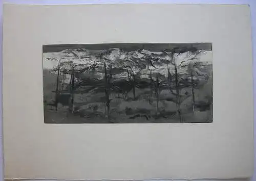 Rudolf Weissauer (1924-1989) Landschaft Orig Aquatinta signiert 1980 