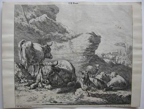 Joh. Heinr. Roos (1631-1685) Kühe Schaf Ziegen vor Felsen Orig Radierung 1750