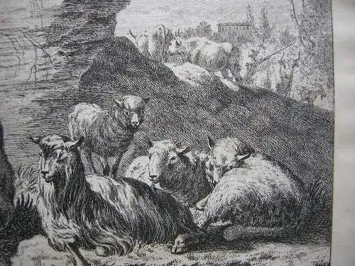 Joh. Heinr. Roos (1631-1685) Kühe Schaf Ziegen vor Felsen Orig Radierung 1750