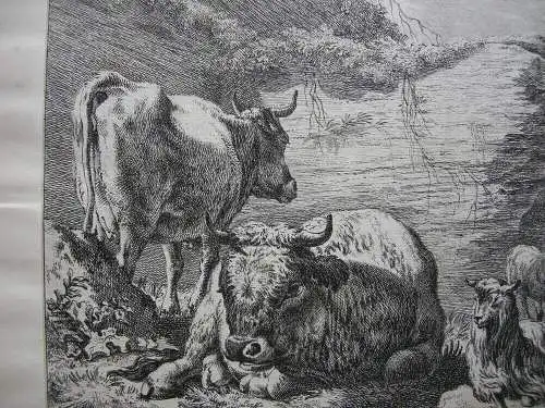 Joh. Heinr. Roos (1631-1685) Kühe Schaf Ziegen vor Felsen Orig Radierung 1750