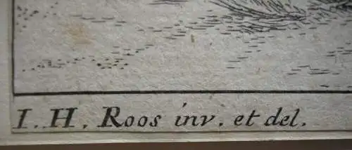 Joh. Heinr. Roos (1631-1685) Kühe Schaf Ziegen vor Felsen Orig Radierung 1750