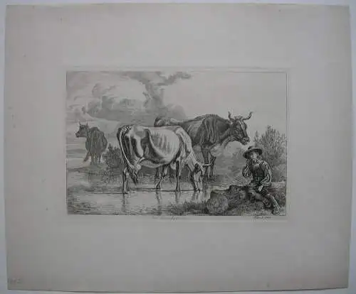 Johann Adam Klein (1792-1875) Am Starnberger See Orig Radierung 1844