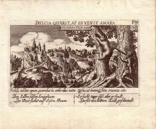 Hohenstein Hessen Orig Kupferstich Meissners Schatzkästlein 1638 Bärenjäger