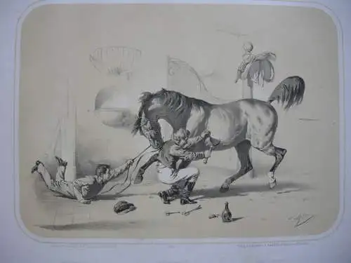 Pferde-Launen kolor Orig Lithografie Tony Strassgschwandtner 1860 