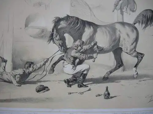 Pferde-Launen kolor Orig Lithografie Tony Strassgschwandtner 1860 