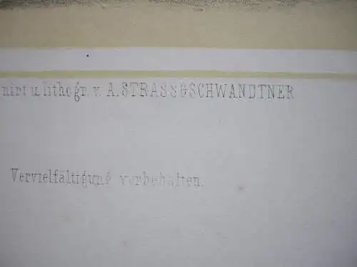 Pferde-Launen kolor Orig Lithografie Tony Strassgschwandtner 1860 