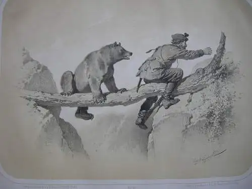 Jäger u Bär Jagd-Abenteuer kolor Orig Lithografie Tony Strassgschwandtner 1860 