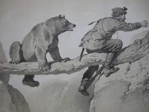 Jäger u Bär Jagd-Abenteuer kolor Orig Lithografie Tony Strassgschwandtner 1860 