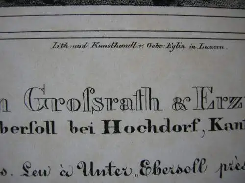 Wohnhaus Grossrath Ioseph Leu Hochdorf Luzern Orig Lithografie Eglin 1850