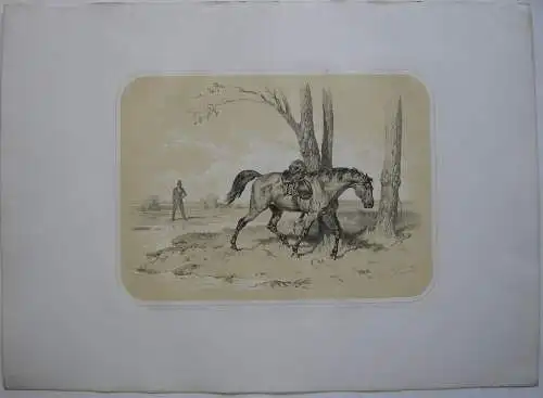Pferd entledigt sich Sattel kolor Orig Lithografie Tony Strassgschwandtner 1860 