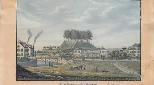 Zürich Botanischer Garten Orig Farblithografie 1830 Schweiz