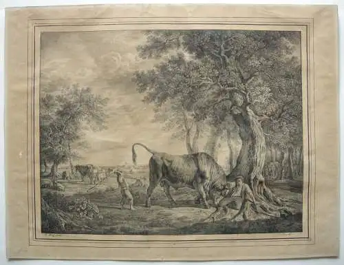 Kaspar Auer "Ein wütender Stier" Inkunabel Lithographie 1817