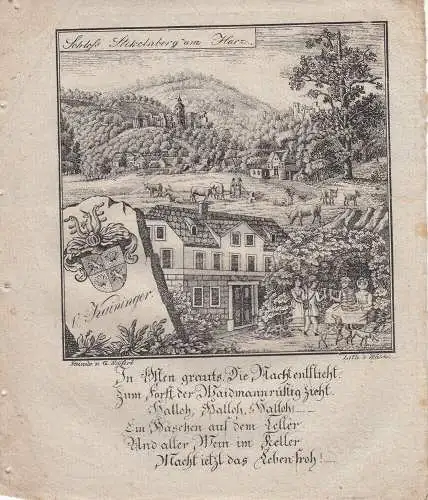 Schloss Stekelnberg Harz Sachsen-Anhalt Orig. Lithografie Walde 1830  