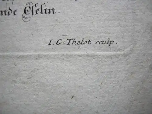 Bileams redende Eselin Org Kupferstich  I. G. Thelot Scheuchzer-Bibel 1731