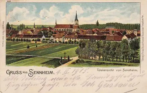 Sennheim Gesamtansicht Elsass Alsace France Litho Feldpost gel 1915