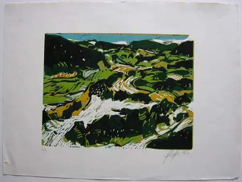 Simon P. Meyler  (1969) Abstrakte hügelige Landschaft Orig Serigrafie 1993 4/9