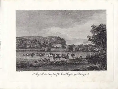 Rittergut Potschappel Sachsen Freital Orig Radierung Darnstedt 1799 