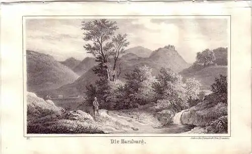 Die Harzburg Goslar Harz Niedersachsen Orig Lithographie 1842