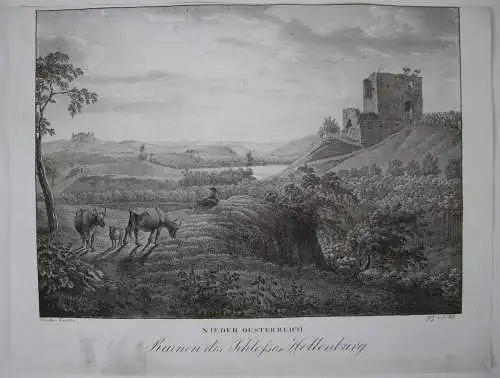 Schloss Hollenburg Niederösterreich Orig Lithographie Alt Kunike 1824 Donau 