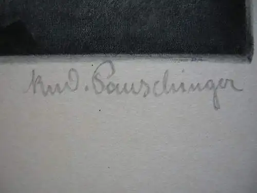 Rudolf Pauschinger (1882-1957) Herrenportrait Orig Aquatinta Braunton 1930 sign