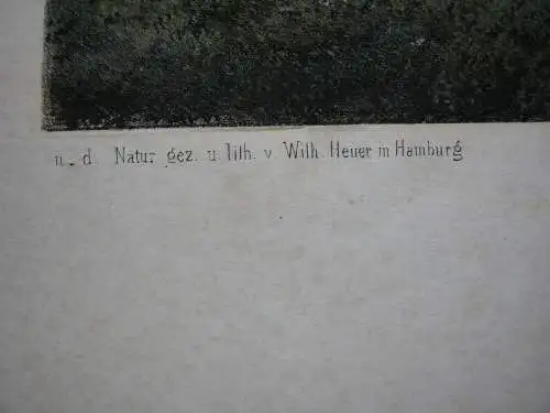 Wilhelm Heuer (1813-1890) Schlossgarten bei Kiel Orig Lithografie bei Plate 1855